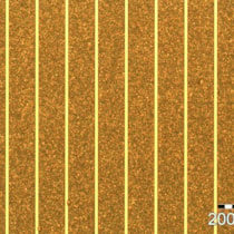 Optical microscope image of an X-ray mask with 10 &mu;m wide slits in 130 &mu;m thick gold.
